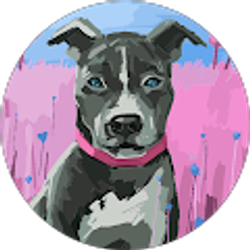 Profile photo of Abby Gomez