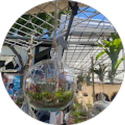 Profile photo of arielle amon