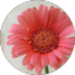 Profile photo of Zoey Furrow
