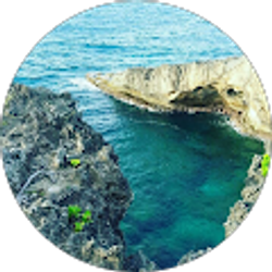 Profile photo of Alanis Velez