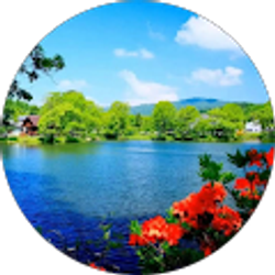 Profile photo of Alma Reyna