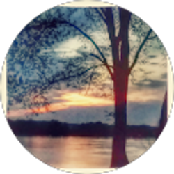 Profile photo of Scott Gill