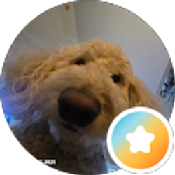 Profile photo of Tony Eller