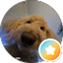Profile photo of Tony Eller