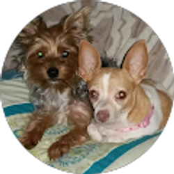 Profile photo of xiomara williams