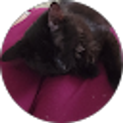 Profile photo of Mary Peterson
