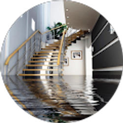 Profile photo of Flood Sentry