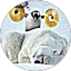 Profile photo of david avelares