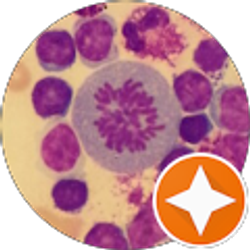 Profile photo of Jack Chang