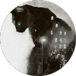 Profile photo of Elizabeth Studeman