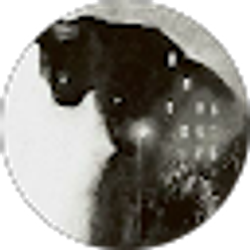 Profile photo of Elizabeth Studeman