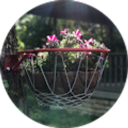 Profile photo of Myre Family