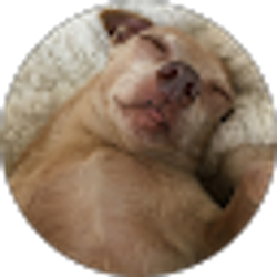 Profile photo of Stacey Donohoe