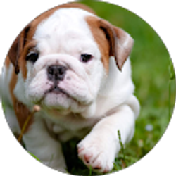 Profile photo of Carmen Friedberg