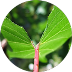 Profile photo of Lorna Robinson