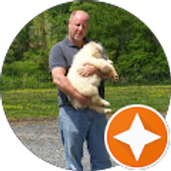 Profile photo of Martin Moffat