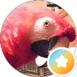 Profile photo of Angie Gray