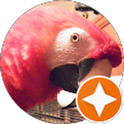 Profile photo of Angie Gray