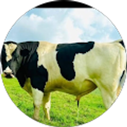 Profile photo of Wallen Danny