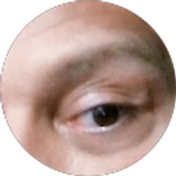 Profile photo of Luis Antonio