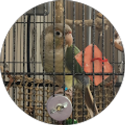 Profile photo of Ashley Dechnik