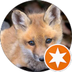 Profile photo of Stacy Fox