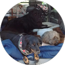 Profile photo of Charlie Zido