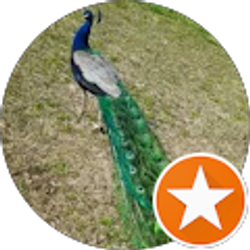 Profile photo of Shelby Morgan