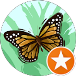 Profile photo of K B