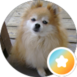 Profile photo of Korenna Koren