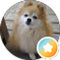 Profile photo of Korenna Koren