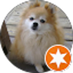 Profile photo of Korenna Koren