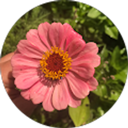 Profile photo of Camille Martin