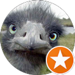 Profile photo of Charles Scott