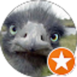 Profile photo of Nuke Weldor