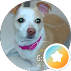 Profile photo of Cathleen Lindsey