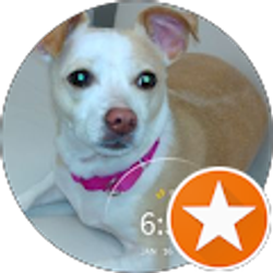 Profile photo of Cathleen Lindsey