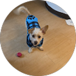 Profile photo of Deborah M Pearcy