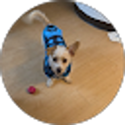 Profile photo of Deborah M Pearcy