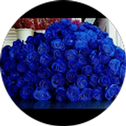 Profile photo of Neka Watson