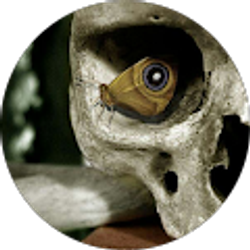 Profile photo of Ian Kirkpatrick