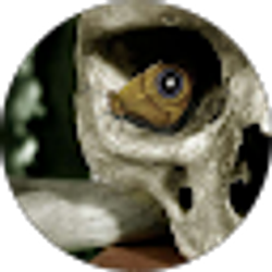 Profile photo of Ian Kirkpatrick