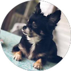 Profile photo of Oliver