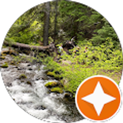 Profile photo of Camie Stephen