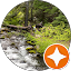 Profile photo of Camie Stephen