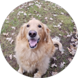 Profile photo of Casey Weaber