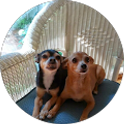 Profile photo of Mary Maas