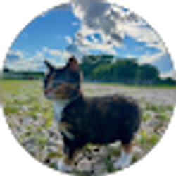 Profile photo of Jerrett Hardin