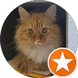 Profile photo of D Bard