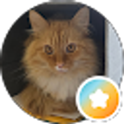Profile photo of D Bard